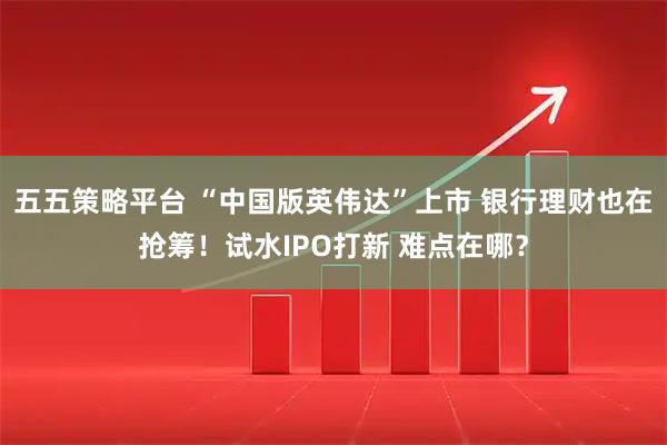 五五策略平台 “中国版英伟达”上市 银行理财也在抢筹！试水IPO打新 难点在哪？