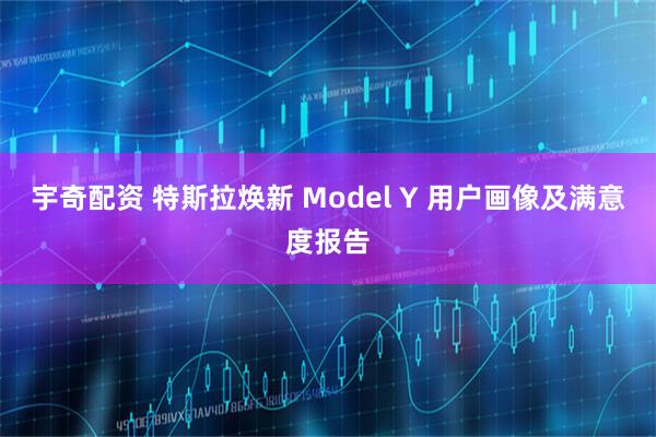 宇奇配资 特斯拉焕新 Model Y 用户画像及满意度报告