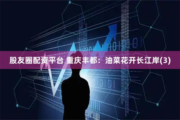股友圈配资平台 重庆丰都：油菜花开长江岸(3)
