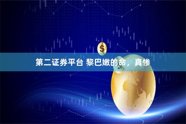 第二证券平台 黎巴嫩的命，真惨